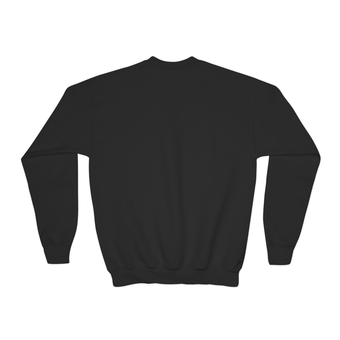 Copy of Youth Crewneck Sweatshirt